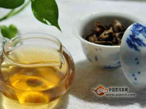 新昆明普洱茶购买指南：哪里最值得信？