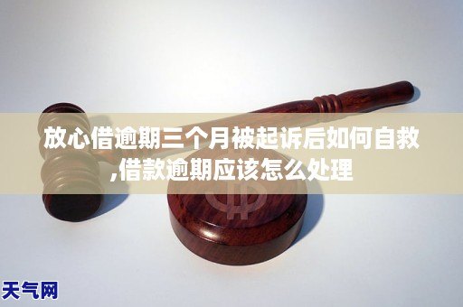 放心借逾期了被起诉怎么应对