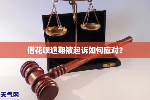 放心借逾期了被起诉怎么应对