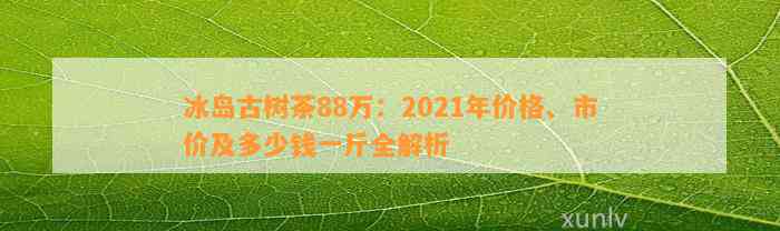 2021年冰岛古树茶价格指南：一斤多少钱？品质如何？哪里购买最划算？