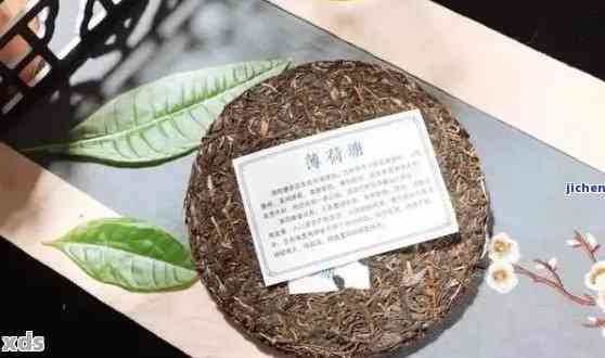 探究普洱茶棉纸的选用：材质、特点与品茗体验的关系