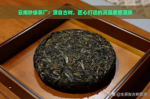 新 普洱茶0736:源自云南的纯净之源，匠心打造的品质之选