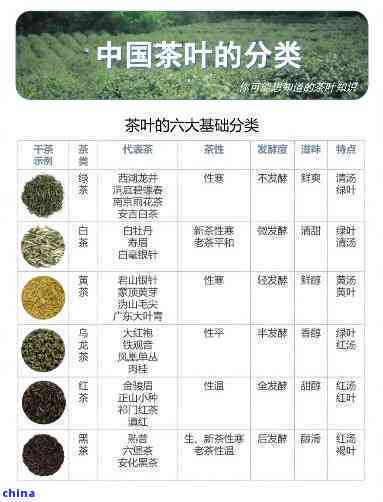 '茶叶种类有粗散末饼的朝代及其区别：六种茶叶类型与粗细对比'