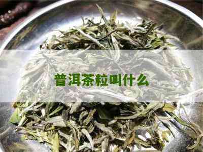 茶叶的种类有粗散末饼茶