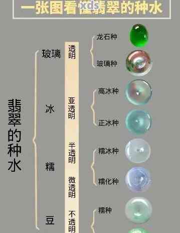 翡翠种水等级：从颜色到质地的全面解析