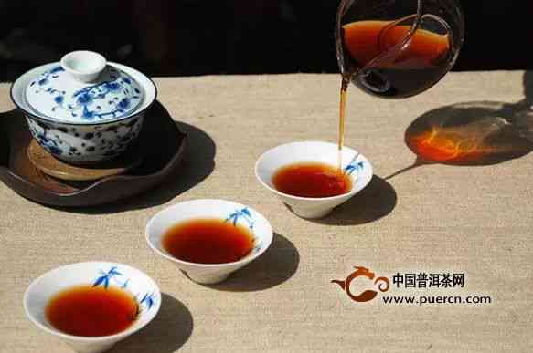 从选茶到品茗：上根臻品普洱茶全方位解析与品鉴指南