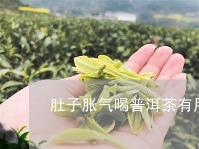 女性肚子胀气能否喝普洱茶？