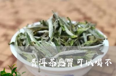 感冒可以普洱茶吗