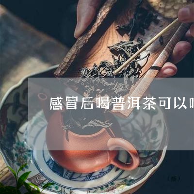 感冒可以普洱茶吗