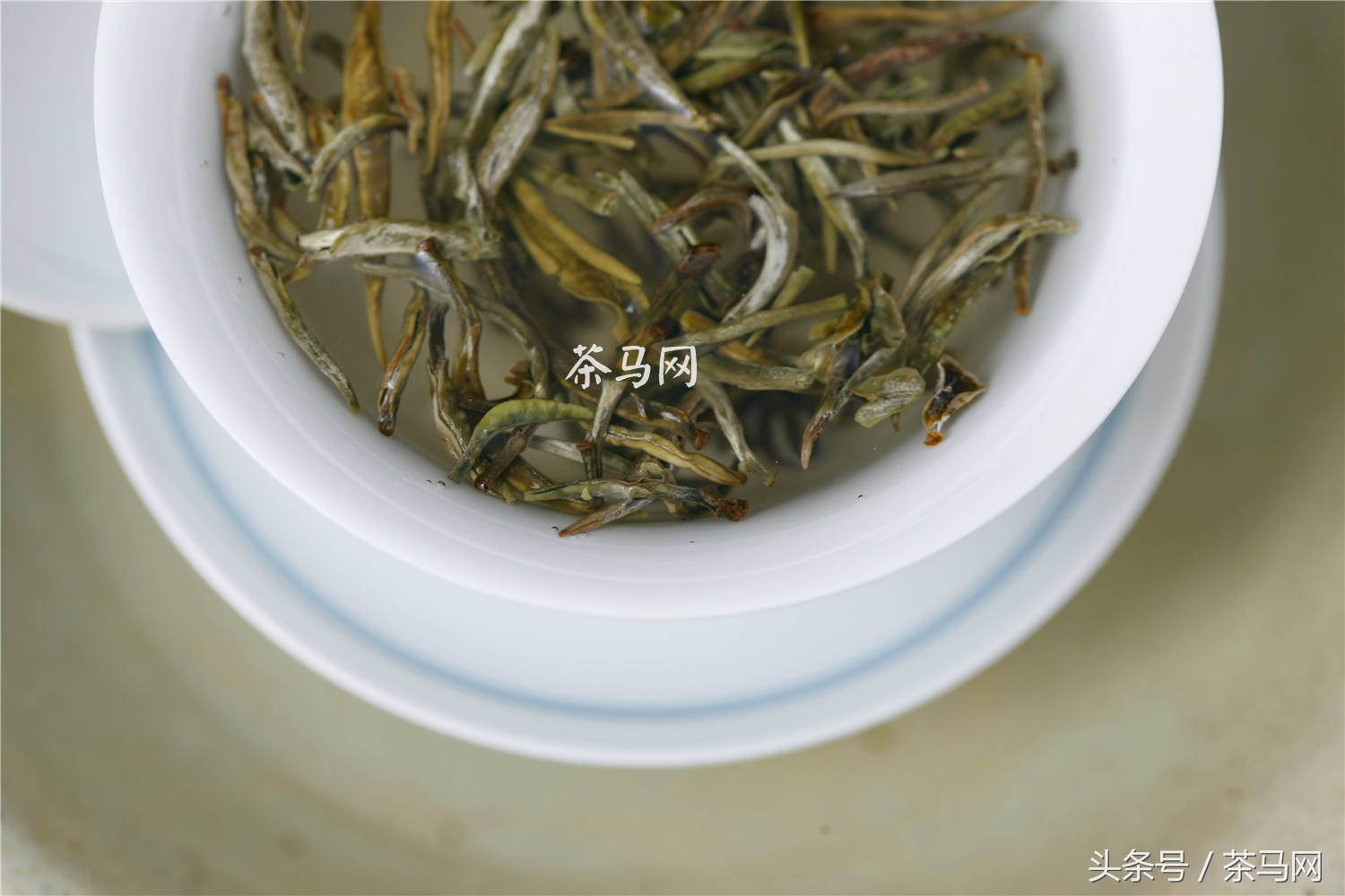 普洱茶为什么好喝？普洱茶爱喝茶吗？为什么有人不爱喝普洱茶？