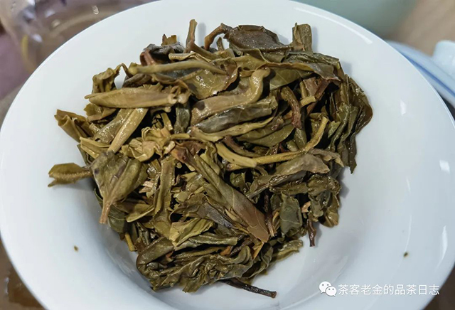 普洱茶勐海春芽