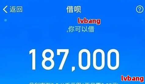 欠支付宝花呗借呗一共6万应该怎么还