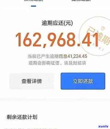 欠支付宝花呗借呗一共6万应该怎么还