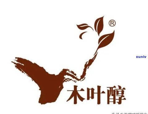 氏永德茶叶：品味木叶醇香，探索茶文化之精髓与健益处