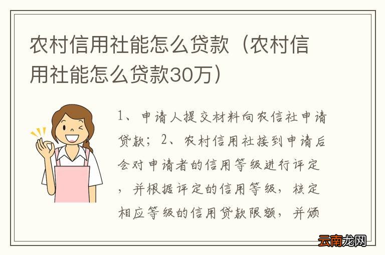 欠农村信用社的30万怎么办理