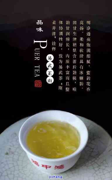 云南普洱茶山鸿泰茶：探寻古茶传奇，品味醇厚陈香