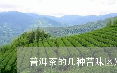 普洱茶和绿茶哪个苦