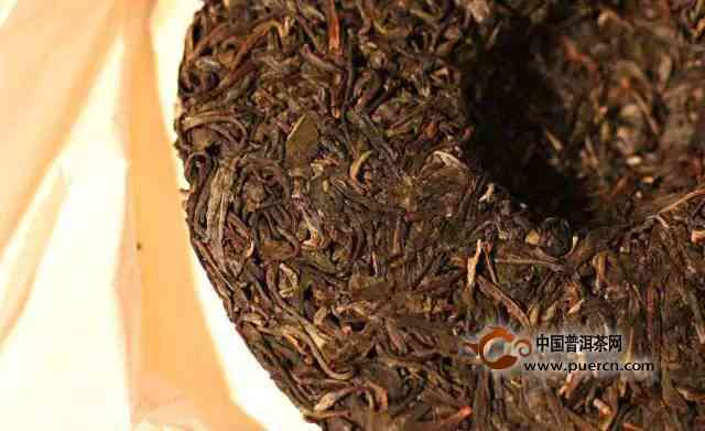 普洱茶哪里可以买到并用于家庭种植？