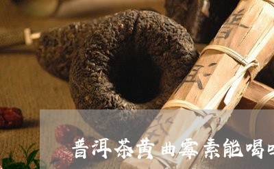 黄曲霉素和普洱茶哪个好