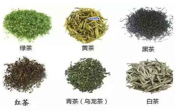 茶叶中重要药用成分解析：绿茶、红茶、乌龙茶的健益处