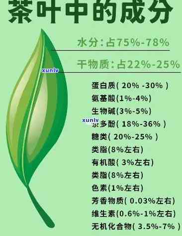 茶叶中重要药用成分解析：绿茶、红茶、乌龙茶的健益处