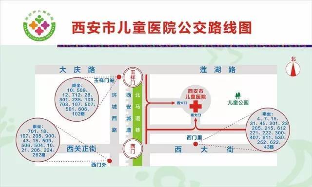 茶叶的全面营养价值及药理活性成分解析：从科学角度了解茶叶的多重功效