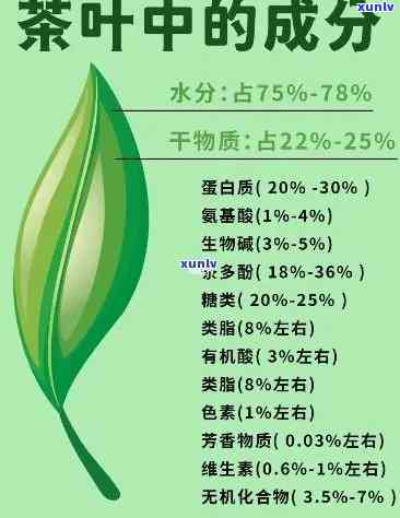 茶叶中主要的功效成分有哪些种类？