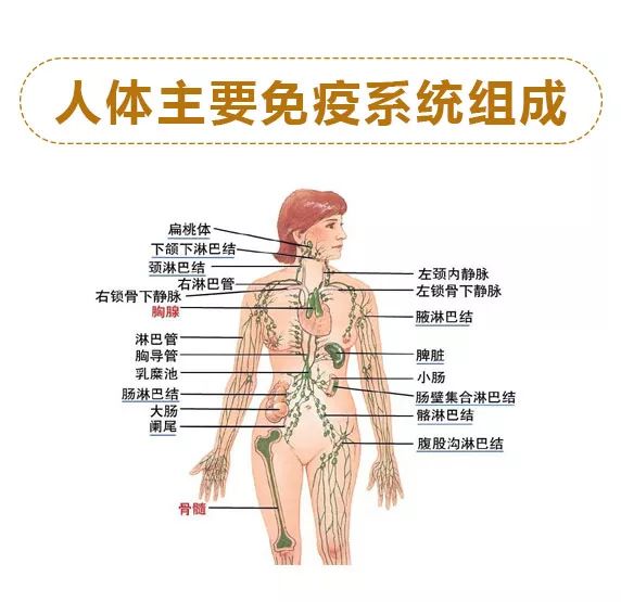 淋巴结肿大：茶叶饮用是否有益？如何安全饮用以促进复？