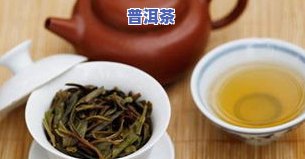 普洱茶的绿色转化：从绿茶化到普洱茶的识别方法与技巧