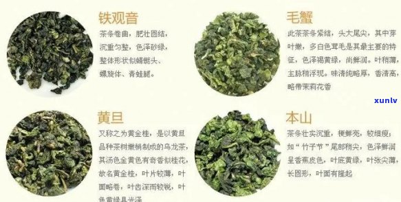 下火茶叶的种类及其功效：详细介绍与选择指导