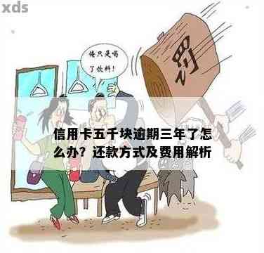 信用卡逾期五千会不会拘留怎么处理