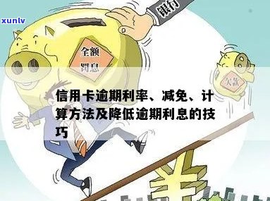 信用卡逾期利息太高了怎么办降低利息