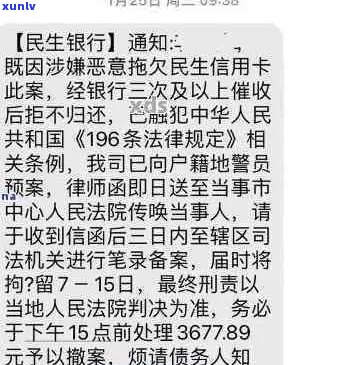 民生银行欠款1万被起诉