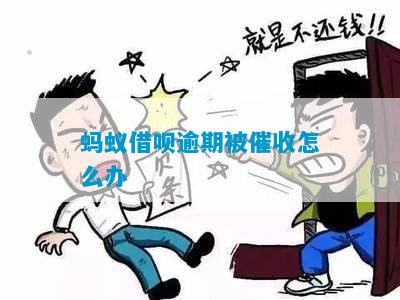 蚂蚁借呗被催款了怎么解决