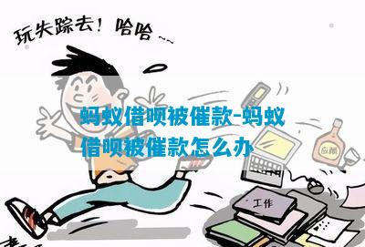 蚂蚁借呗被催款了怎么解决