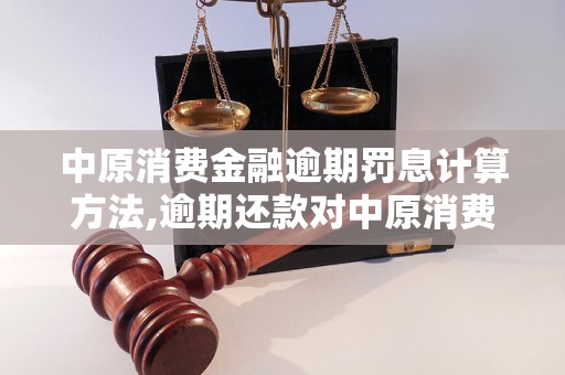 中原消费金融逾期半年了该怎么办