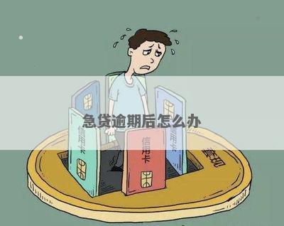 急需借款逾期怎么办