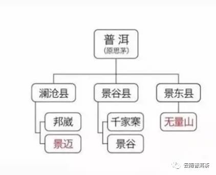 困鹿山普洱茶价格定位：全面解析与参考，了解市场行情及购买建议