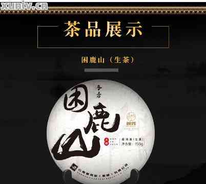 2020困鹿山普洱茶价格