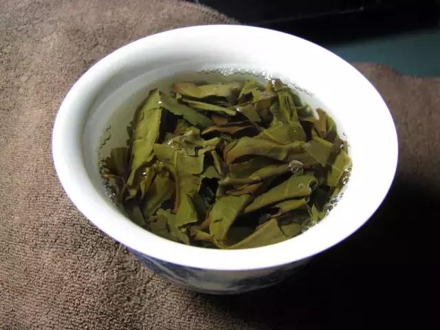 古树茶普洱生茶冲泡技巧：如何泡出好喝的味道