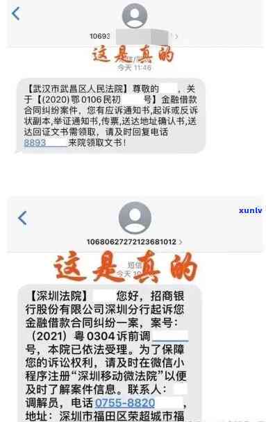 网贷逾期法务信息查询