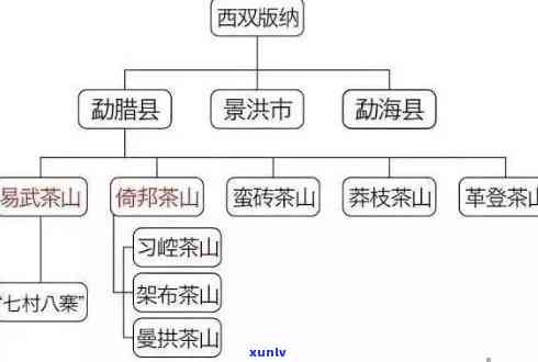 普洱茶八大茶厂排名：全面指南助你轻松选择与口感