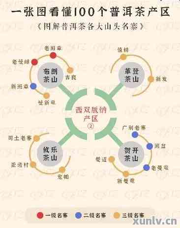 普洱茶八大茶厂排名：全面指南助你轻松选择与口感