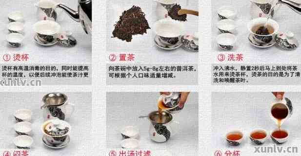 新 全面掌握普洱茶：从原料到冲泡的入门知识大全