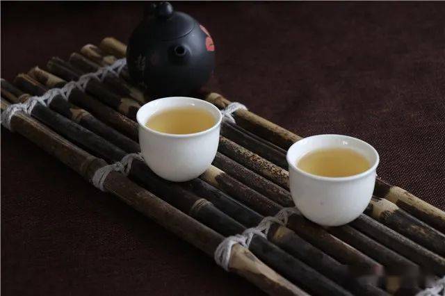 普洱茶新手入门必看