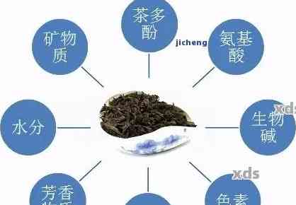 普洱茶：性质探究，揭示其独特热特性及其健影响