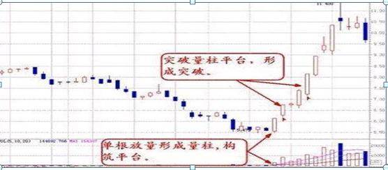 新掌握这四个关键指标，轻松辨别优质普洱茶的价格与品质