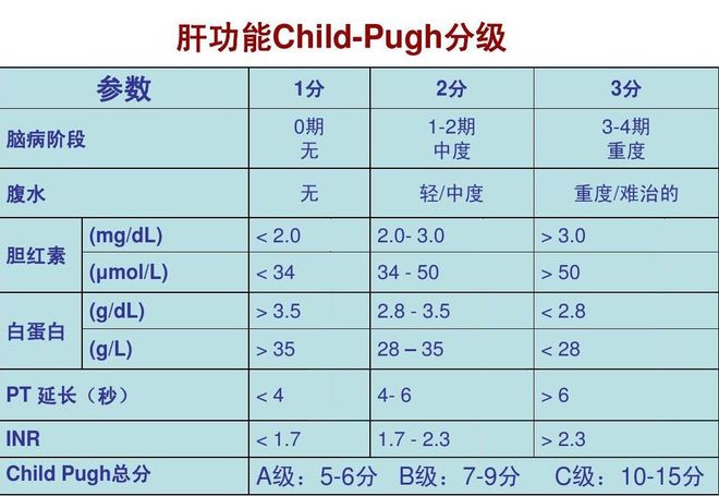 新掌握这四个关键指标，轻松辨别优质普洱茶的价格与品质