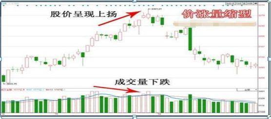 新掌握这四个关键指标，轻松辨别优质普洱茶的价格与品质