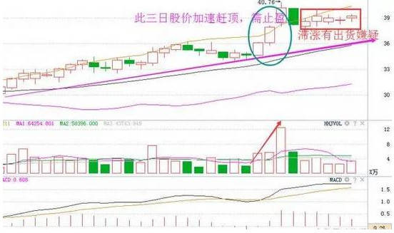 新掌握这四个关键指标，轻松辨别优质普洱茶的价格与品质